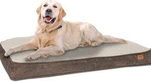 Cesta para Perros ib style® Happy Dreams - L marrón