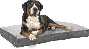 Cesta para Perros XL ib style® Happy Dreams - Antideslizante y Con Cremallera - Gris