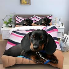 Funda Nórdica Perro Salchicha para Cama 135cm