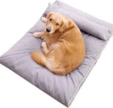 Cama Ortopédica Elegante para Perros MIWOOYY