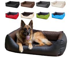 Cama 2 en 1 Impermeable para Perros CopcoPet Rocco