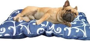 Cesta Acolchada para Perros 55x35 cm