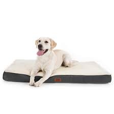 Cama Ortópedica para Perros GNCPets - Gris y Blanco