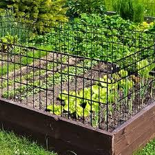 Paquete de 10 Barreras Animales Decorativas de Metal para Jardín