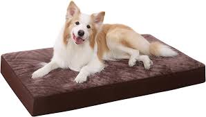 Cama Ortopédica Grande para Perros KSIIA 90x55cm