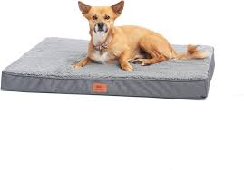 Cama Ortopédica SLPRO para Perros de Todos los Tamaños