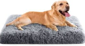 Cama Extra Grande para Mascotas PETCUTE