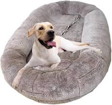 Cama Ortopédica Antideslizante para Perros