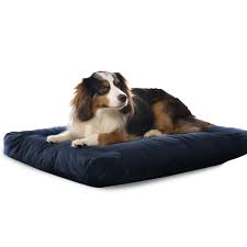 Cama Flowen para Perros Medianos y Pequeños 75x50 - Lavable y Práctica