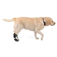 Bota Ortocanis para Perros con Knuckling - Corrección y Soporte