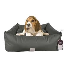 Caseta de Nylon Ligo Buddy para Perros Pequeños