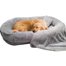 Cama Ortopédica Antideslizante para Perros