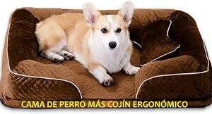 Cama Ortopédica para Perro 68x54 cm con Cojín Viscoelástico