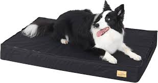 Cama Ortopédica Grande para Perros BingoPaw 92x56x8cm