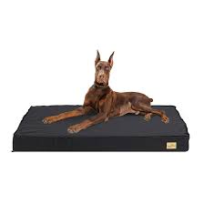 BingoPaw Cama XXL para Perros: Comodidad y Estilo