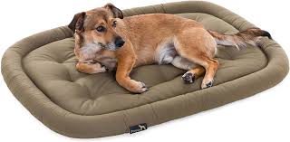 Pointer - Cama Ortopédica Confort para Perros