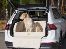 Comodidad Canina: Asiento y Caja de Transporte para Perros