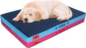 Cama Ortopédica para Perros con Colchón Terapéutico