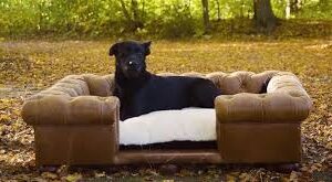 Cama de Perro Chesterfield Vintage Lujo