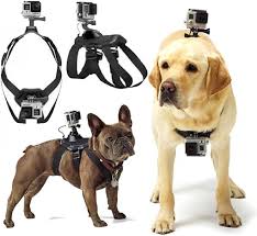 Arnés Ajustable para Perros GoPro
