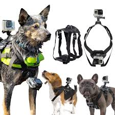 Arnés Ajustable para Perros con Soporte GoPro
