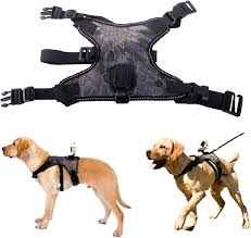Arnés para Perro con Soporte GoPro