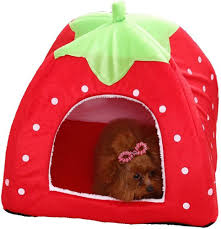 Sosoport 2 Piezas: Cama Acogedora para Mascotas