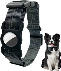 Cámara para Gatos con Collares Reflectantes