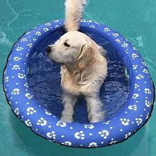 Colchoneta Inflable para Perros: Flotador de Piscina