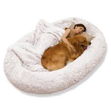 Cama Humana para Perro DMTINTA 75x50x14 Pulgadas