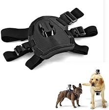 Arnés Deportivo OYiRY para Perros