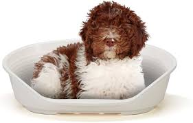 FERPLAST - Cama Mediana para Perros y Gatos