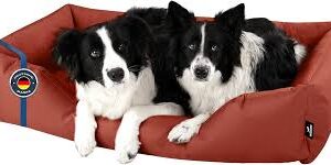 Cama Perro 3XL - Confort para Gigantes