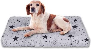 Cama para Mascotas MERCURY TEXTIL - Colchón Ideal para Perros