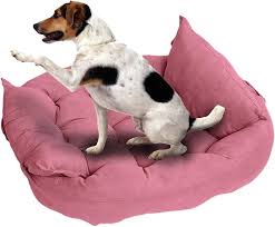 Corset Perro: Sofá Cama Multifuncional