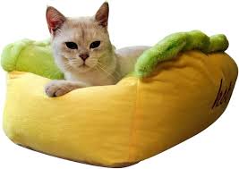 Cama Cálida de Invierno para Perros