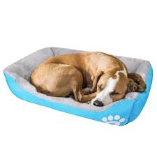 Cama para Perros Wuuhoo® Lucky 70cm - Sofá Acogedor y Lavable