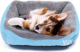 Camas Powerking para Perros y Almohadillas para Mascotas