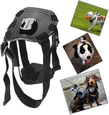 Arnés Deportivo OYiRY para Perros