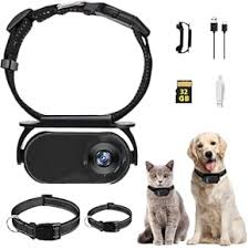 Cámaras para Mascotas: Captura Momentos con tu Perro