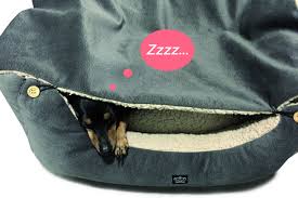 Cunas Premium Yagu: Elegancia para tus Mascotas