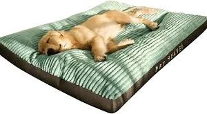 Cama Super Suave para Perro Grande - PETCUTE