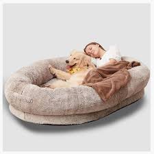 Gran Cama Ovalada de Frijoles para Mascotas y Humanos