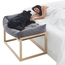 COOL · DREAMS: Cama Elevada Antiestrés para Mascotas