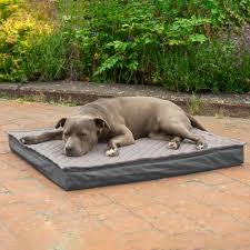 Cama para Perros Grande de Espuma de Memoria Furhaven