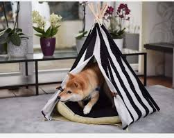 Tipi para Mascotas Little Dove: Cama para Perro y Gato (S) con Cojín