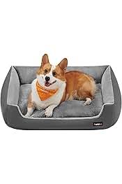 Camitas de Plástico para Perros