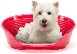 Cama Ecológica para Mascotas - Ferplast