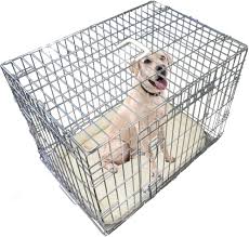 Jaula Plegable Ellie-Bo de 76 cm para Perros con 2 Puertas y Cama de Piel Sintética