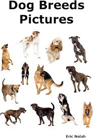 Imágenes de Razas Caninas: Más de 100 Razas